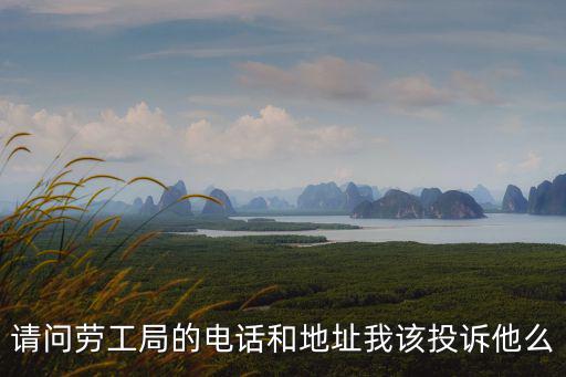 請(qǐng)問(wèn)勞工局的電話和地址我該投訴他么