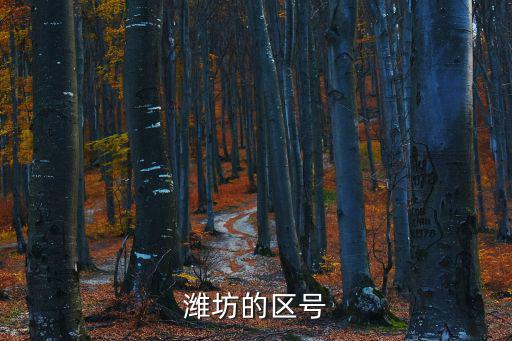 濰坊電話區號，誰知道山東濰坊區號是多少啊