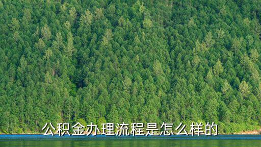 公積金辦理流程是怎么樣的