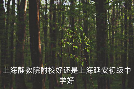 靜教院，上海靜教院附校好還是上海延安初級中學好