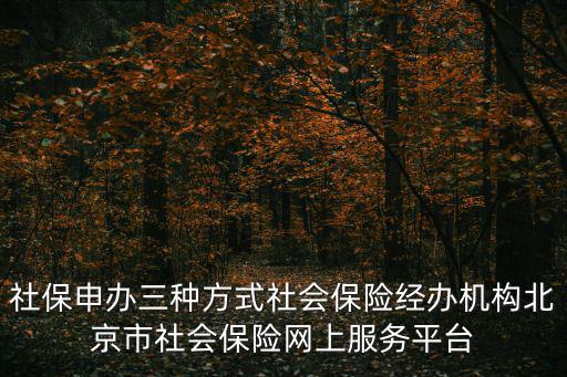 社保申辦三種方式社會(huì)保險(xiǎn)經(jīng)辦機(jī)構(gòu)北京市社會(huì)保險(xiǎn)網(wǎng)上服務(wù)平臺(tái)
