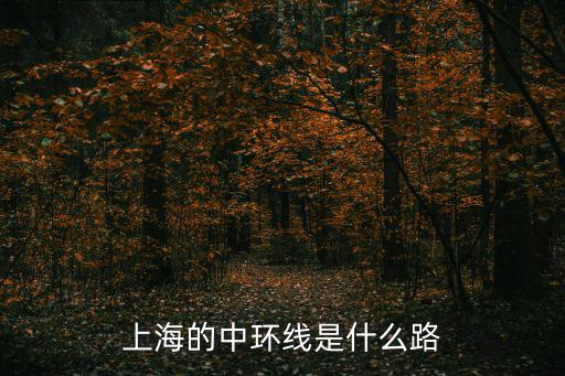 上海的中環(huán)線是什么路