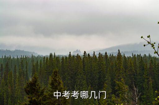 中考考哪幾門
