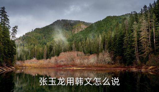 張玉龍，用張玉龍做一首藏頭詩