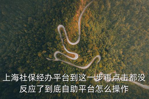 上海社保經(jīng)辦平臺(tái)到這一步再點(diǎn)擊都沒反應(yīng)了到底自助平臺(tái)怎么操作
