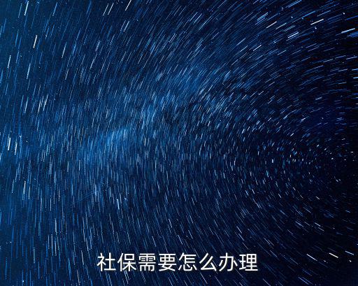 辦社保，如何辦理社保