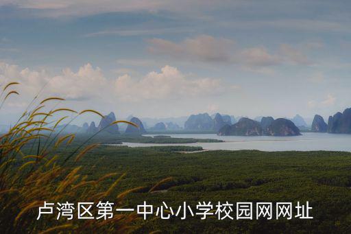 盧灣一中心小學，盧灣區第一中心小學校園網網址