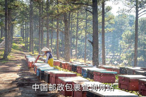 中國(guó)郵政包裹查詢網(wǎng)站