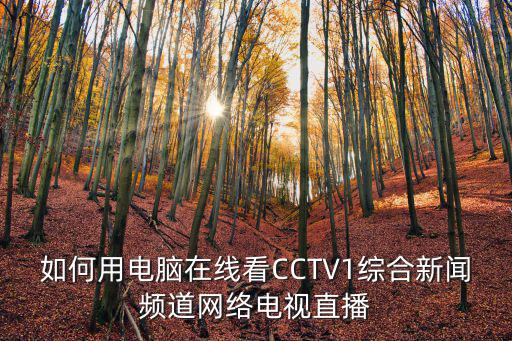如何用電腦在線看CCTV1綜合新聞頻道網絡電視直播
