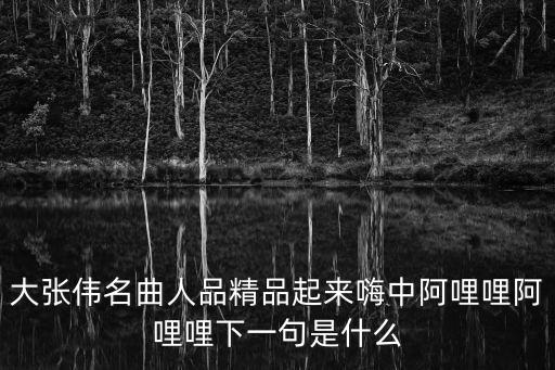 人間精品起來嗨，大張偉人間精品起來嗨是什么節目