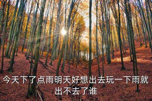 今天下了點雨明天好想出去玩一下雨就出不去了誰