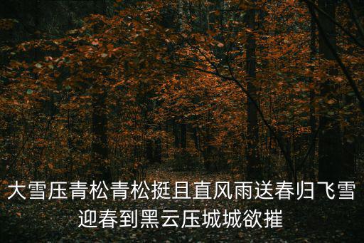 大雪壓青松青松挺且直風(fēng)雨送春歸飛雪迎春到黑云壓城城欲摧
