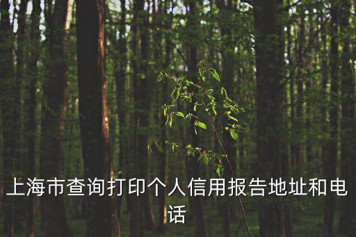上海市查詢打印個人信用報告地址和電話