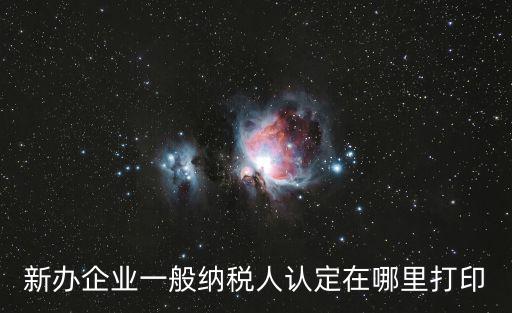 新辦企業一般納稅人認定在哪里打印