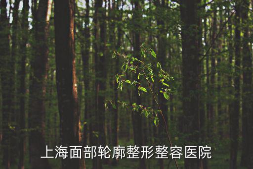 上海面部輪廓整形整容醫院