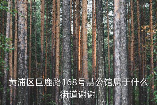 黃浦區(qū)巨鹿路168號(hào)慧公館屬于什么街道謝謝
