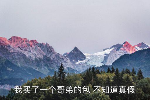 我買了一個哥弟的包 不知道真假