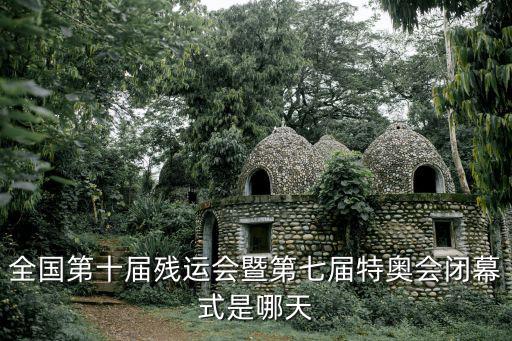 全國殘疾人運動會，什么是殘運會