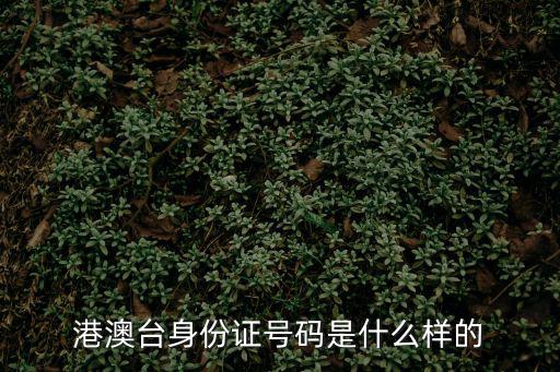 臺(tái)灣身份證，臺(tái)灣的身份證號(hào)是幾位