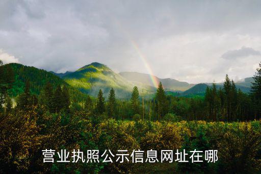 營業執照公示信息網址在哪