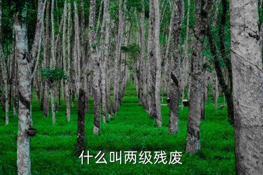 什么叫兩級(jí)殘廢