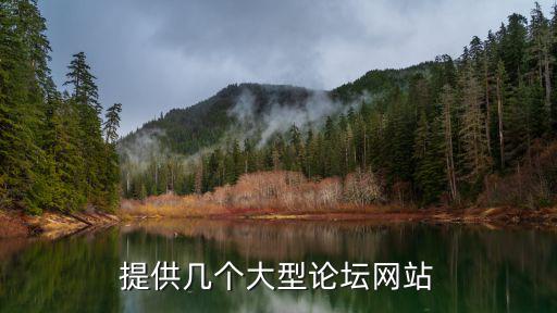 提供幾個(gè)大型論壇網(wǎng)站