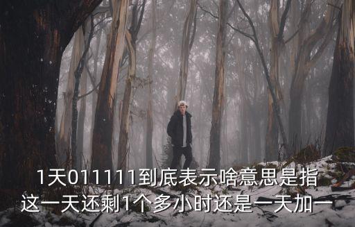 1天011111到底表示啥意思是指這一天還剩1個(gè)多小時(shí)還是一天加一