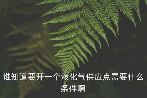 誰(shuí)知道要開(kāi)一個(gè)液化氣供應(yīng)點(diǎn)需要什么條件啊