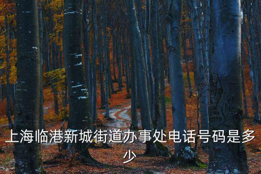 新城社區(qū)電話，連云港新浦區(qū)新東派出所新城社區(qū)郵政編碼