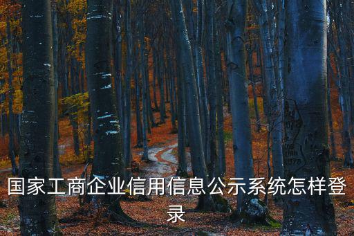 國家工商企業信用信息公示系統怎樣登錄