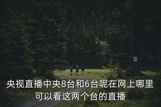 央視直播中央8臺(tái)和6臺(tái)呢在網(wǎng)上哪里可以看這兩個(gè)臺(tái)的直播