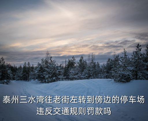 泰州三水灣往老街左轉到傍邊的停車場違反交通規(guī)則罰款嗎