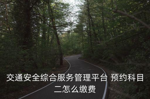 交通綜合服務(wù)平臺，交通安全綜合服務(wù)管理平臺 預(yù)約科目二怎么繳費