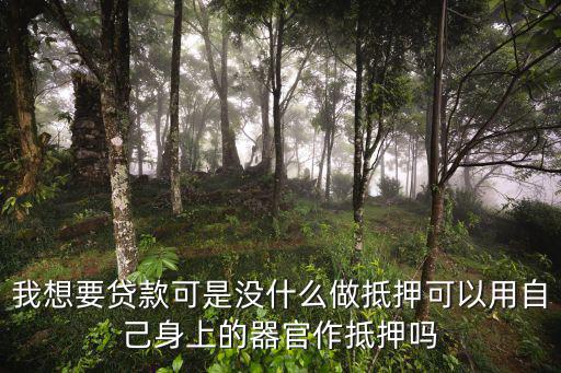 器官貸款，現在的銀行可以腎貸款嗎