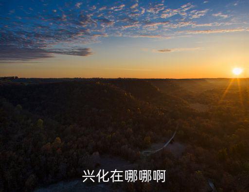 興化地圖，興化在哪哪啊