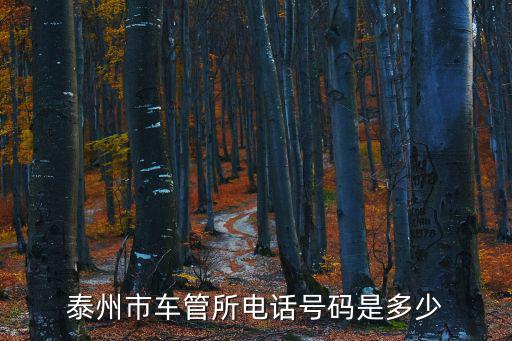 泰州市車管所電話號碼是多少