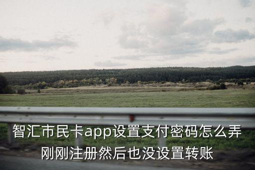 市民卡app下載，智匯市民卡app設置支付密碼怎么弄剛剛注冊然后也沒設置轉賬