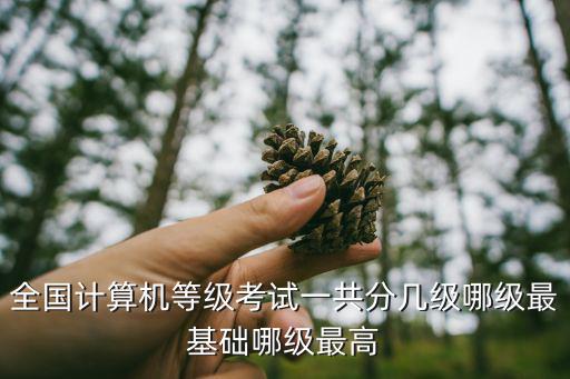 全國計算機等級考試一共分幾級哪級最基礎哪級最高