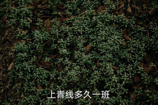 上青線多久一班