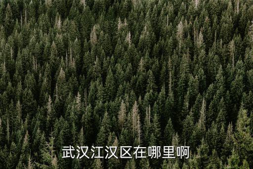 武漢江漢區(qū)在哪里啊