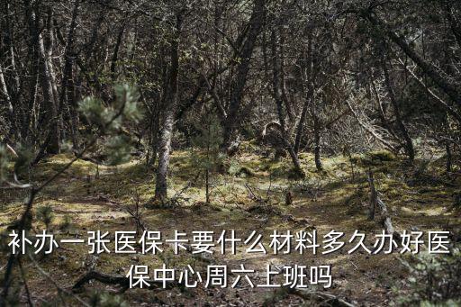 補辦一張醫保卡要什么材料多久辦好醫保中心周六上班嗎