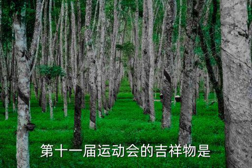 運(yùn)動(dòng)會(huì)吉祥物，第十一屆運(yùn)動(dòng)會(huì)的吉祥物是