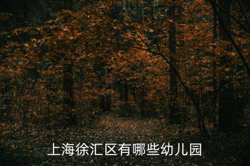 上海徐匯區有哪些幼兒園