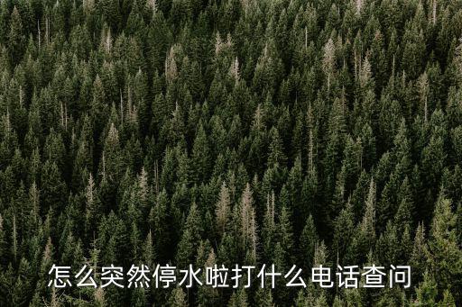 停水了打什么電話咨詢，水管破了或停水打什么電話