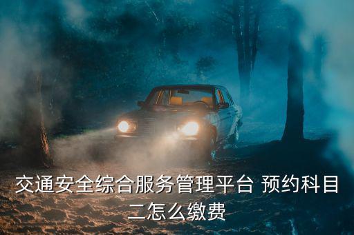 交通安全綜合服務(wù)管理平臺 預(yù)約科目二怎么繳費