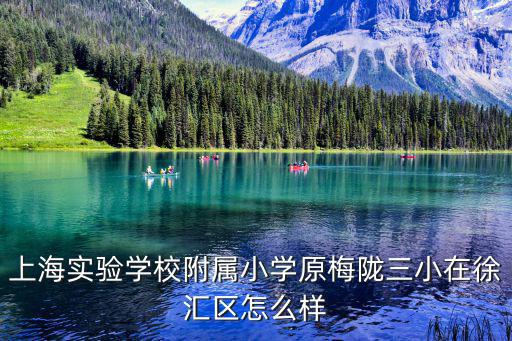 上海實驗學校附屬小學原梅隴三小在徐匯區怎么樣