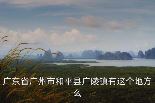 廣東省廣州市和平縣廣陵鎮有這個地方么