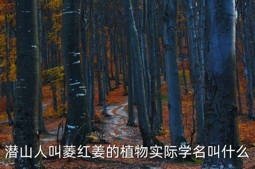 潛山人叫菱紅姜的植物實(shí)際學(xué)名叫什么