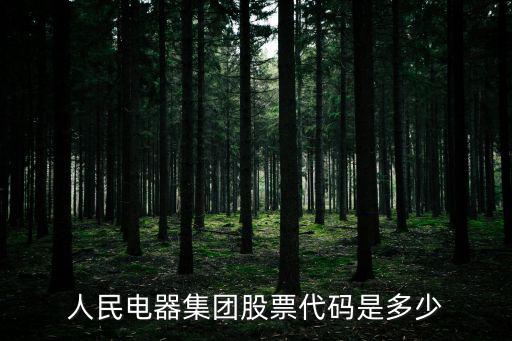 人民電器集團(tuán)，人民電器集團(tuán)怎么樣