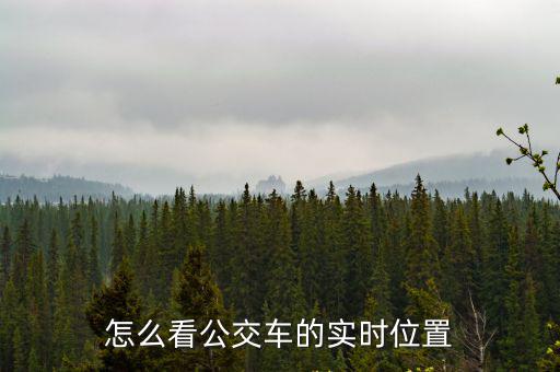 怎么看公交車的實(shí)時(shí)位置